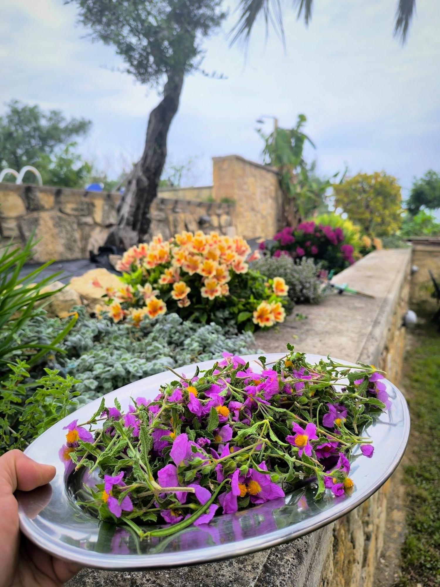 Villa Koulouridi Daratsos Buitenkant foto